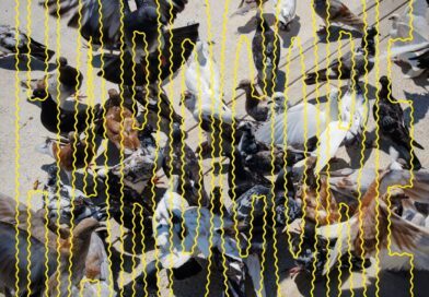 SALÒ veröffentlicht Single „rotten.com