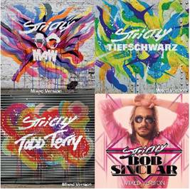 Strictly MAW / Todd Terry / Bob Sinclar / Tiefschwarz mixed versions