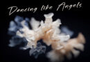 Zwischen Traum und Realität: Die „Moonlight Versions“ von „Dancing Like Angels“ laden zum Abschalten ein